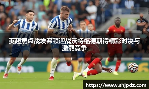 英超焦点战埃弗顿迎战沃特福德期待精彩对决与激烈竞争